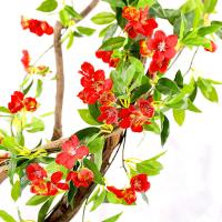 uploads/erp/collection/images/Home Garden/CongDing/XU0611296/img_b/XU0611296_img_b_1
